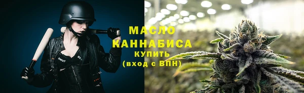 индика Дегтярск