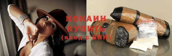 PSILOCYBIN Пересвет
