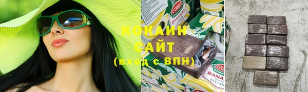 PSILOCYBIN Пересвет