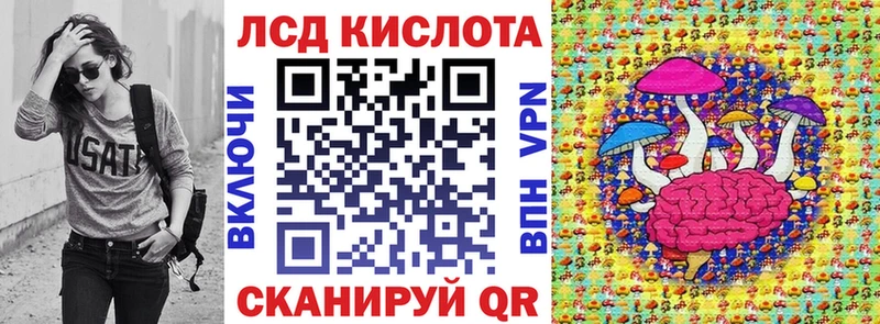 купить наркоту  это Telegram  Марки NBOMe 1500мкг  Кораблино 