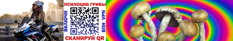 Галлюциногенные грибы Psilocybe  hydra зеркало  Кораблино  купить наркотики сайты 